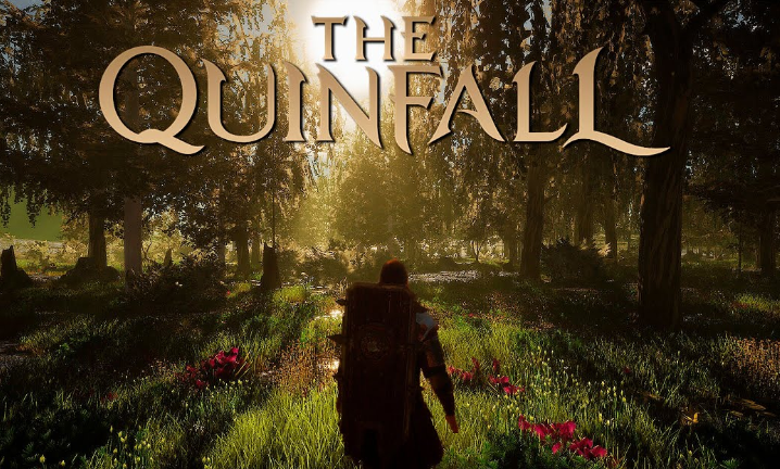the quinfall beginner guide